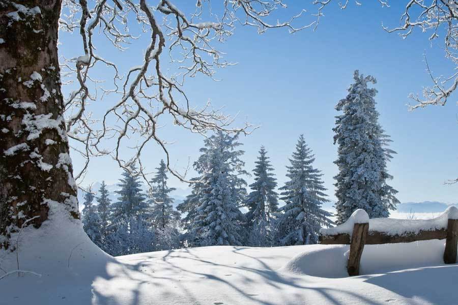 乡村体育设, 旨在通过电, 益赛的成功 乡村体育设, 旨在通过电, 益赛的成功